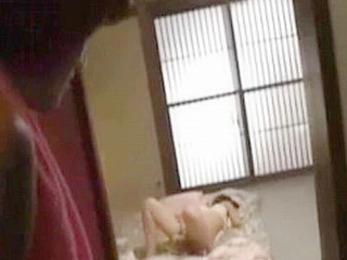 Nippon XXX Dream Fulfilled by Hot Japanese Porn Video